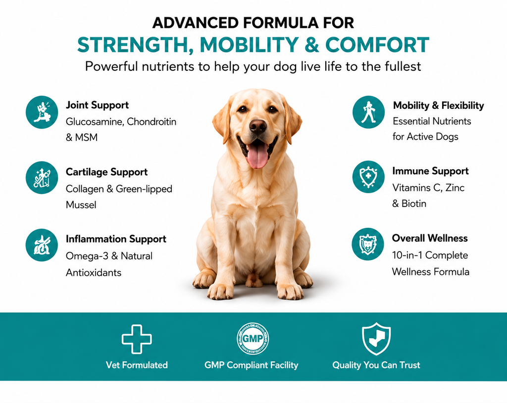 Dogs Hip & Joint Supplement for Mobility & Joint Support