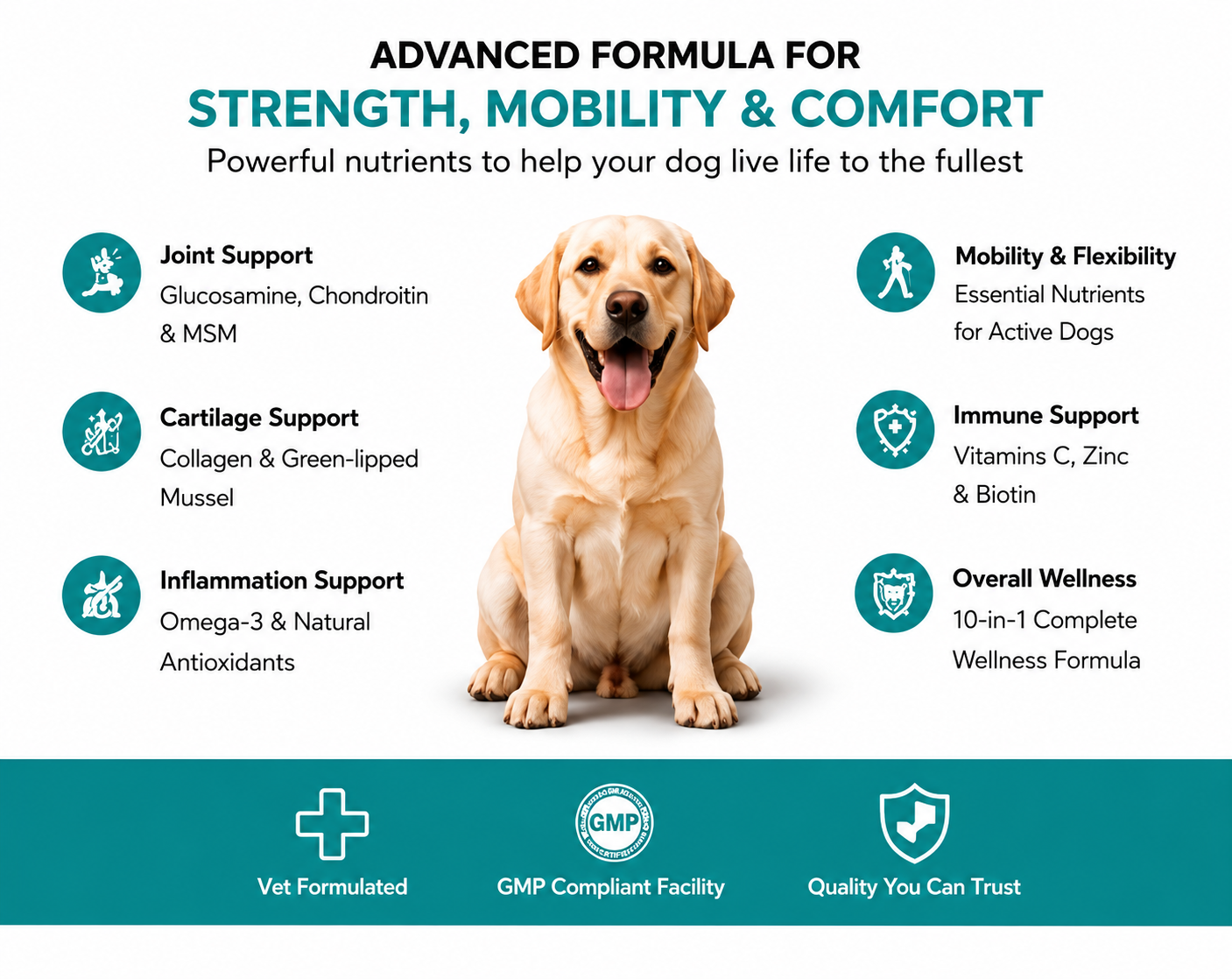 Dogs Hip & Joint Supplement for Mobility & Joint Support