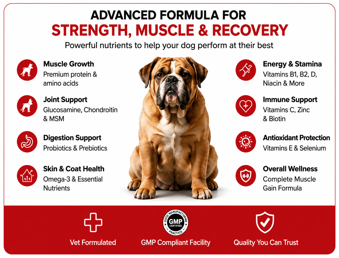 Dogs Muscle Gain Supplement for Strength & Healthy Weight